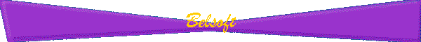 Belsoft